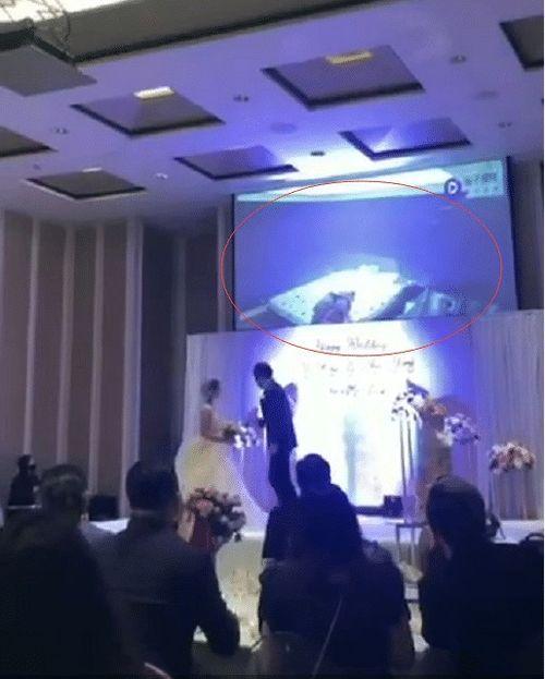 台湾现场爆料视频大全,真实记录岛内热点事件瞬间